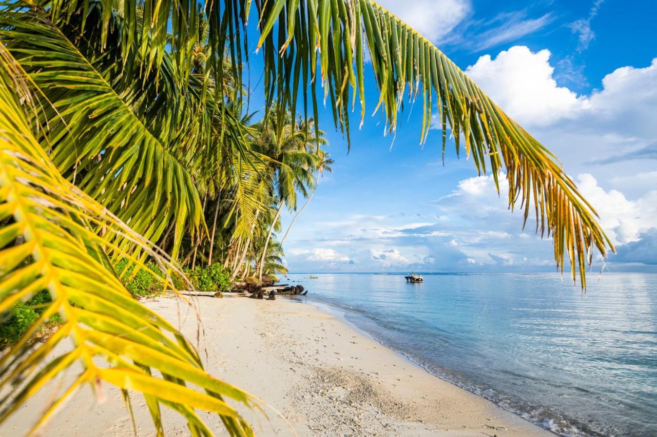 فندق Tailana Island Pulau Banyak Alaban المظهر الخارجي الصورة